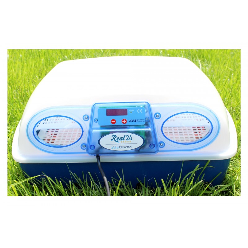 Inkubator do jaj Borotto Real - od 24 dużych do 96 małych jaj