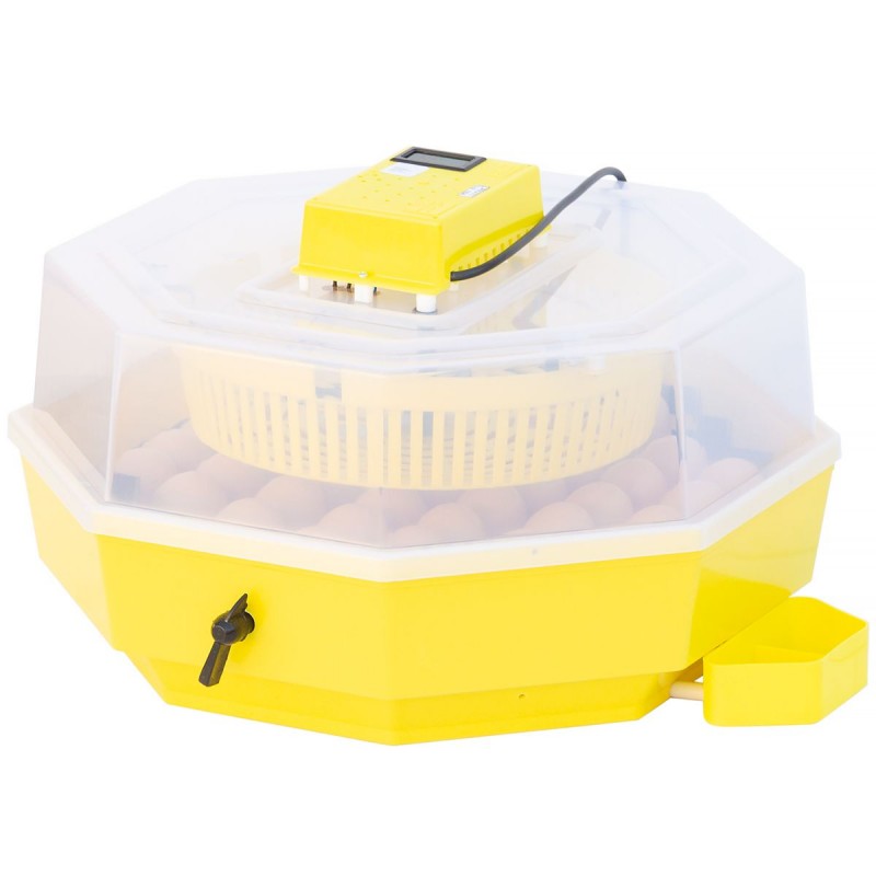 Inkubator iBator Home 60 z wyświetlaczem i tacą