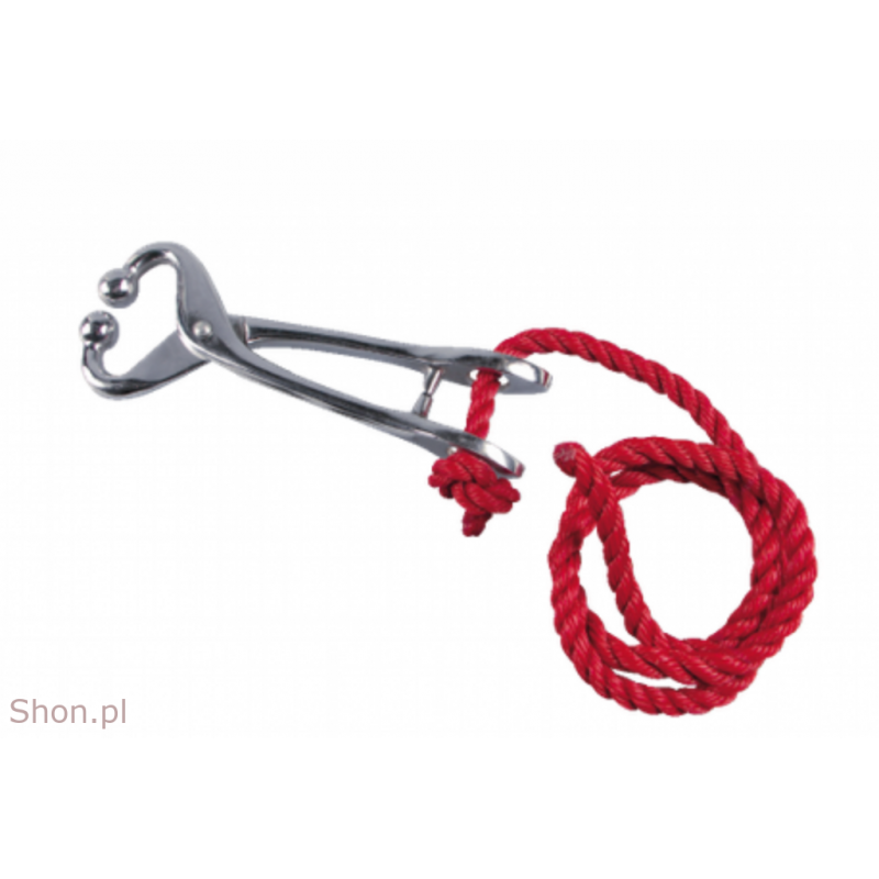 Kółko nosowe z linką dla byka