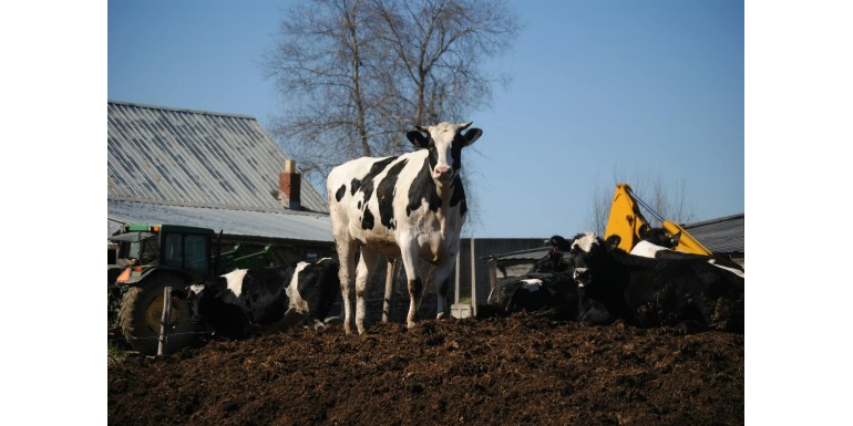 Higiena w gospodarstwie – jak skutecznie dezynfekować pomieszczenia i sprzęt?
